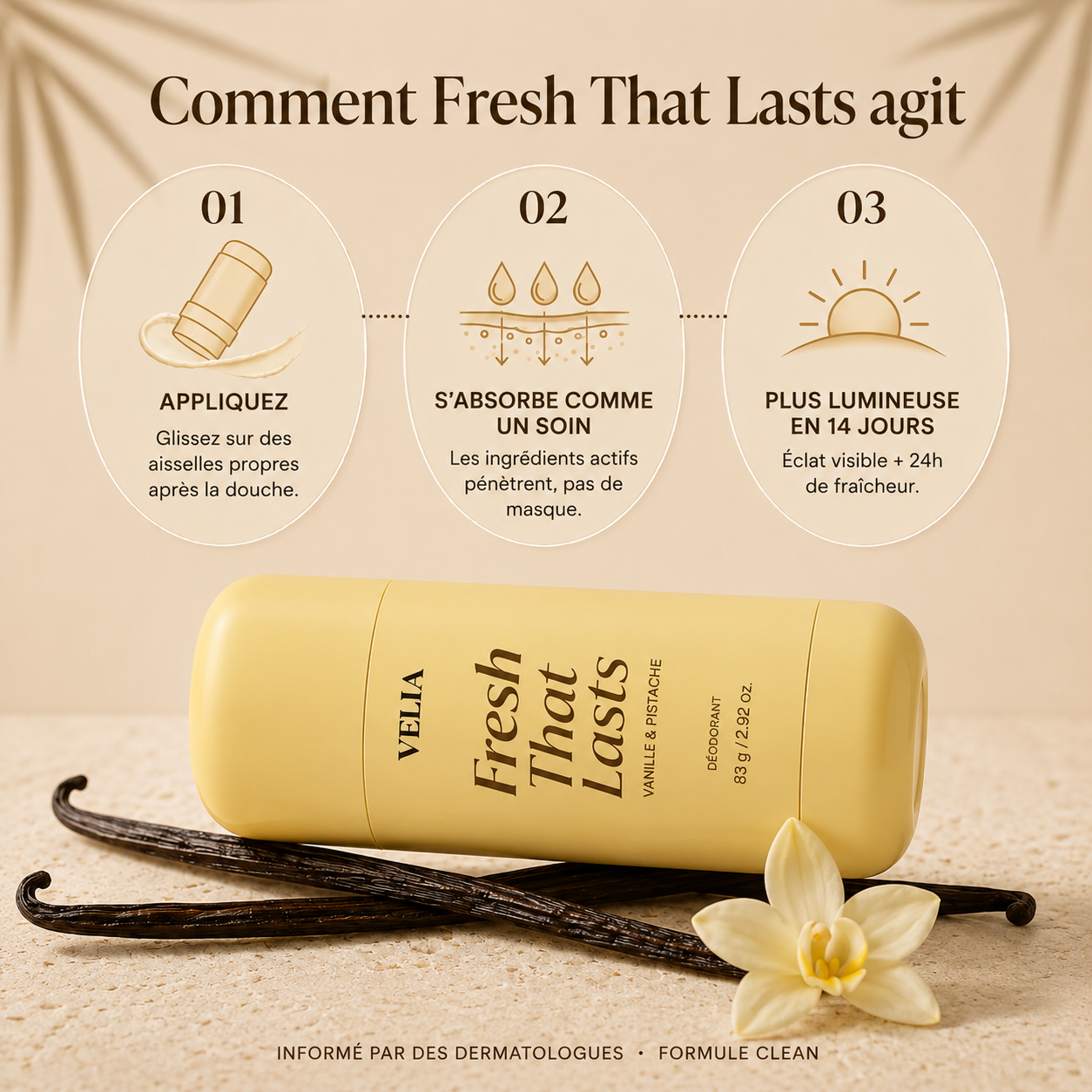 Comment Fresh That Lasts agit : appliquez, absorbe comme un soin, plus lumineuse en 14 jours